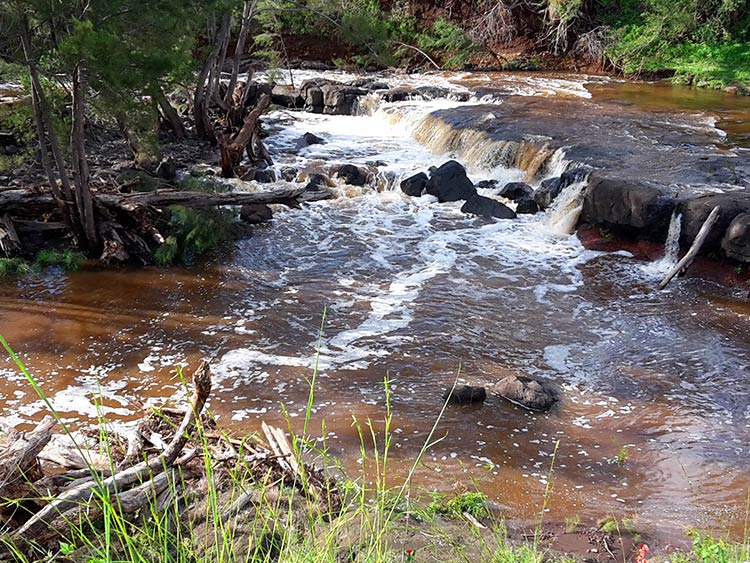 Photo of part of the creek that runs through our farm