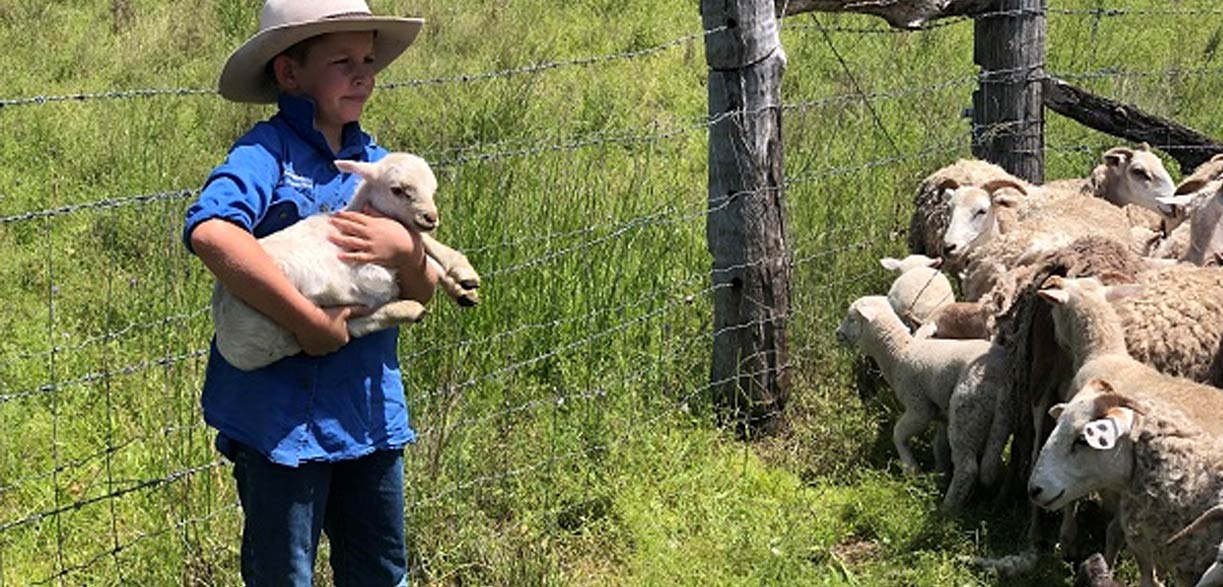 Jethro Morris with baby sheep